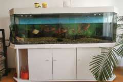 IMG_20220519_111559